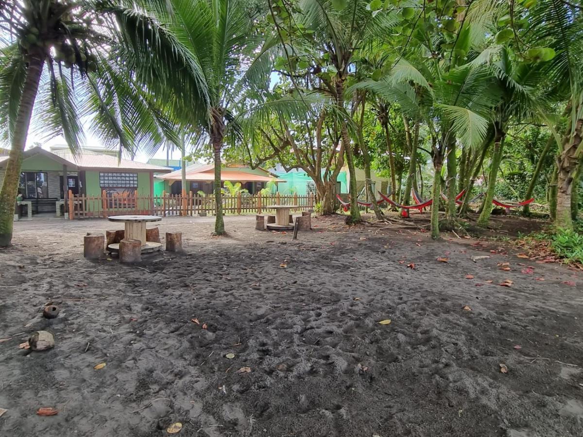 Caribbean View Apartment Tortuguero Bagian luar foto