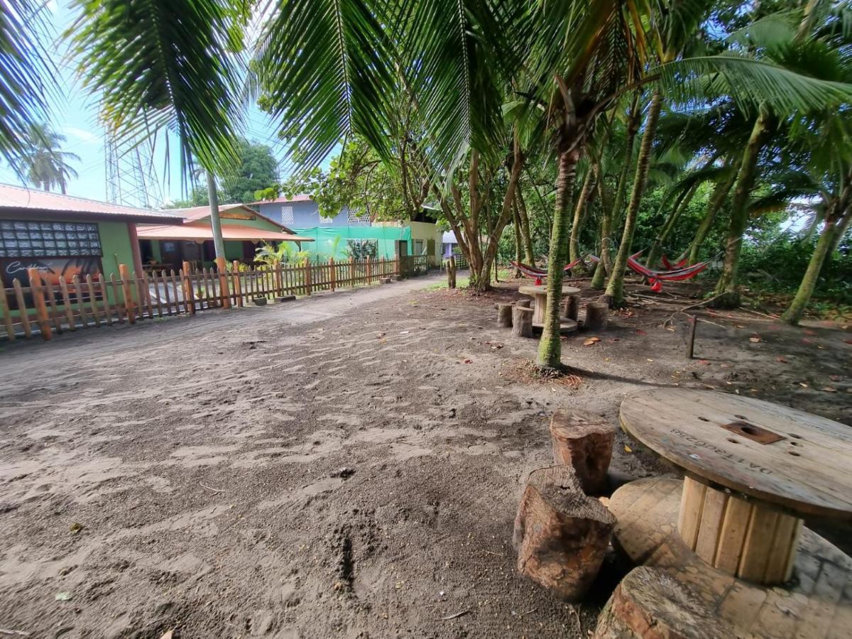 Caribbean View Apartment Tortuguero Bagian luar foto