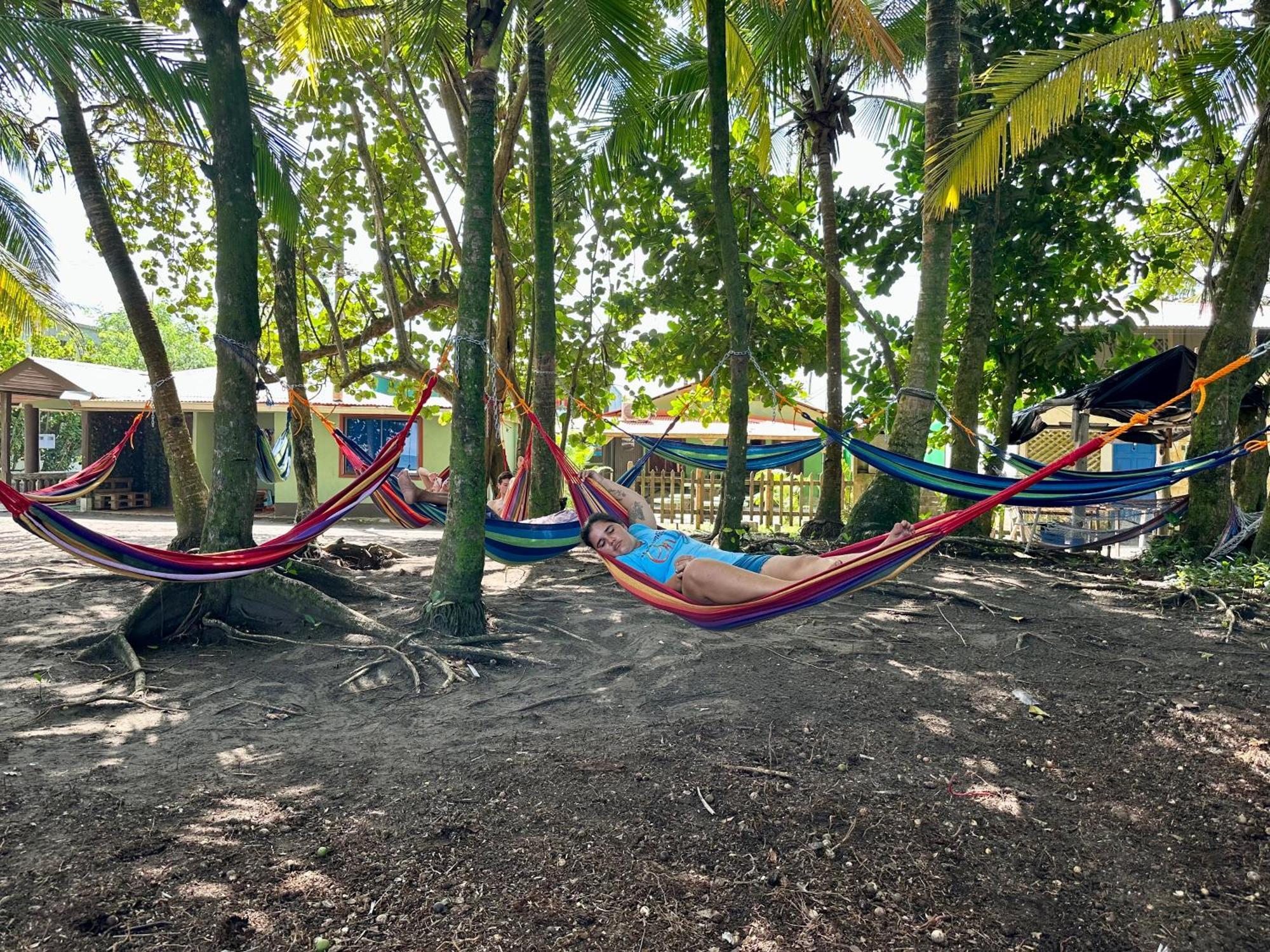 Caribbean View Apartment Tortuguero Bagian luar foto