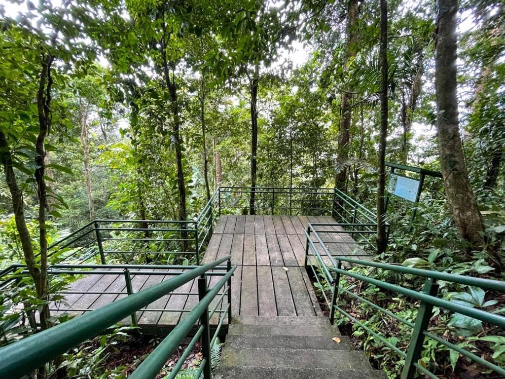 Caribbean View Apartment Tortuguero Bagian luar foto