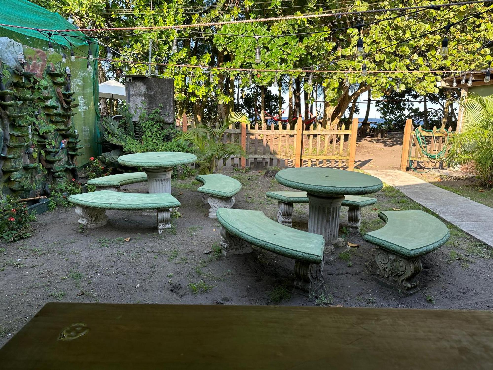 Caribbean View Apartment Tortuguero Bagian luar foto