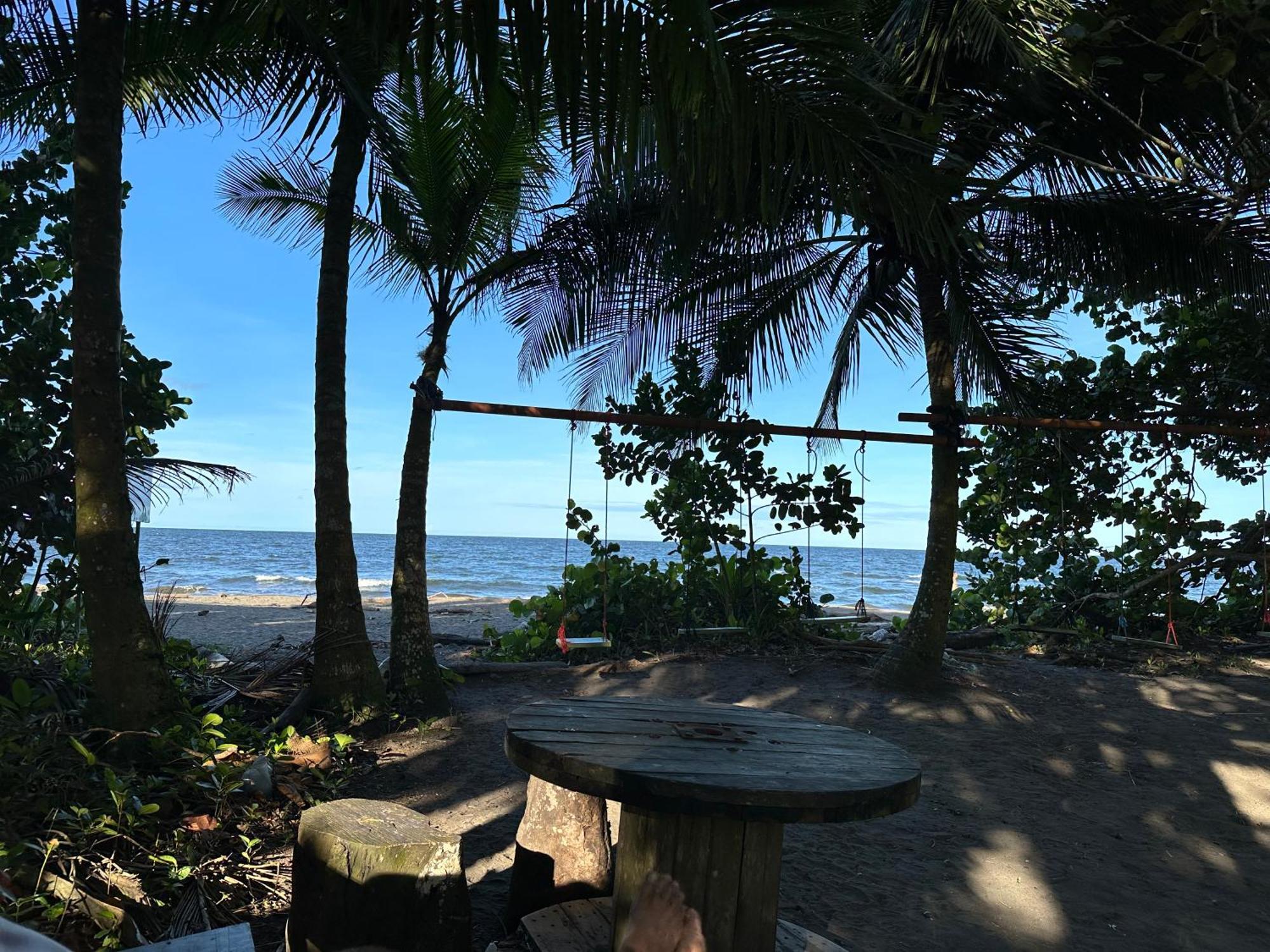 Caribbean View Apartment Tortuguero Bagian luar foto