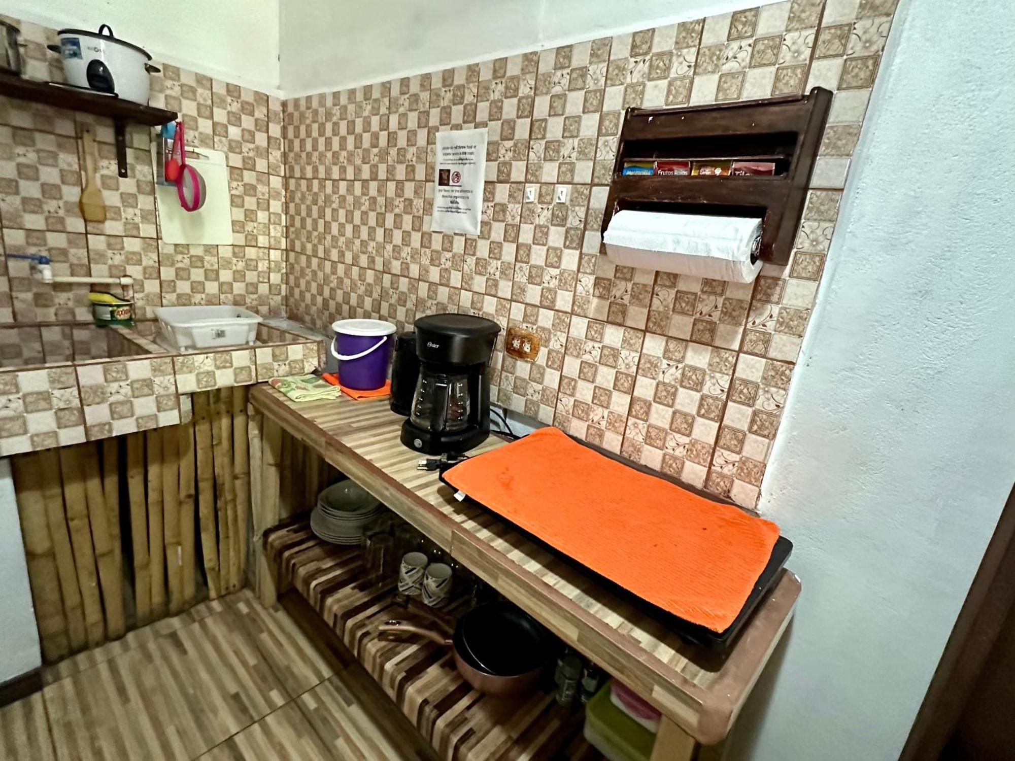 Caribbean View Apartment Tortuguero Bagian luar foto